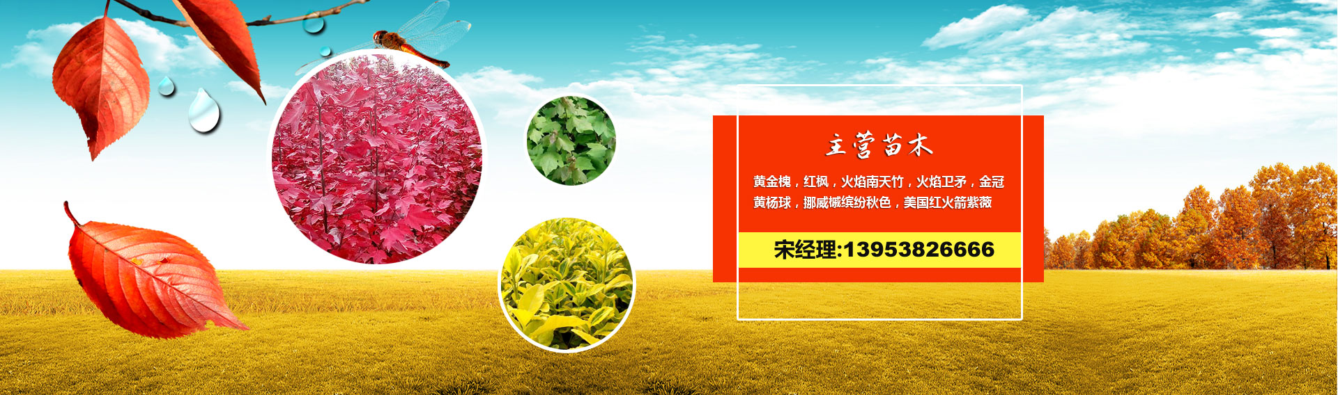 實(shí)干派管理團(tuán)隊(duì)